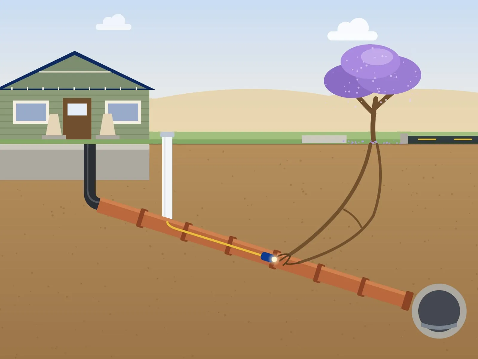 Illustration of a front yard in cross section below a bungalow, with a clay sewer lateral sloping to the main under the street, tree roots entering one joint and an inspection camera fed in from the cleanout